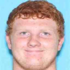 Paul R Hansen a registered Sex Offender of Illinois