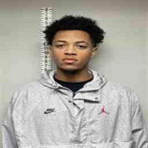 Shawn Fredrick Williams a registered Sex Offender of Illinois