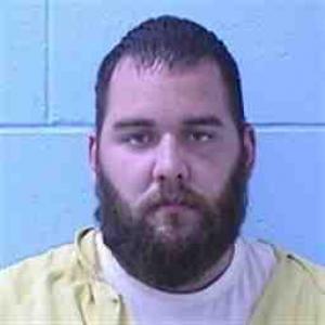 Dylon G Wildman a registered Sex Offender of Illinois