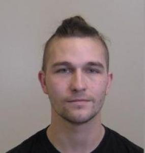 William Lvb Mann a registered Sex Offender of Illinois