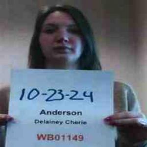 Delainey Cherie Anderson a registered Sex Offender of Texas