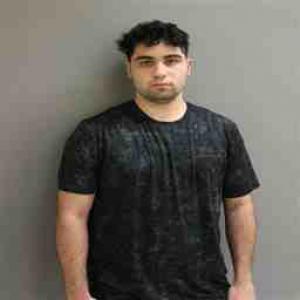 Daniel Vincent Matijevich a registered Sexual Offender or Predator of Florida