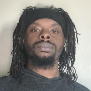Miles R Young a registered Sex Offender of Illinois