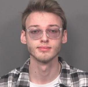 Nikolas A Sarabyn a registered Sex Offender of Illinois