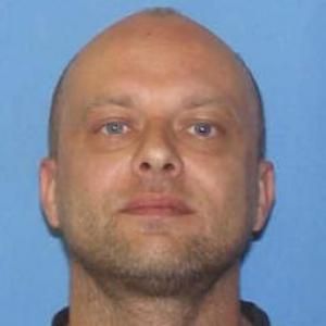Wayne P Romanik a registered Sex Offender of Illinois