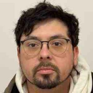 Robert C Nelson a registered Sex Offender of Illinois