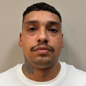 Nino Penaloza a registered Sex Offender of Illinois