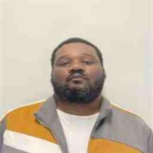 Lonnie D Rice a registered Sex Offender of Illinois