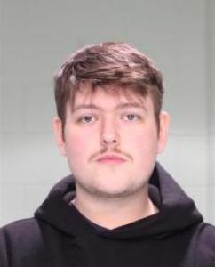 Radu Alexandru Mogos a registered Sex Offender of Illinois