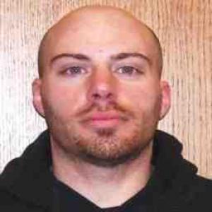 Todd A Luisi a registered Sex Offender of Illinois