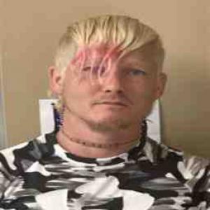 Mark Daniel Delathouwer a registered Sex Offender of Illinois