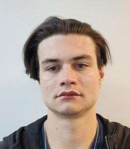 Steve Austin Leavitt a registered Sex or Kidnap Offender of Utah