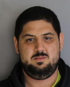 Brandon Pulvino a registered Sex Offender of New York