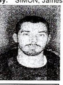Ian Andino a registered Sex Offender of New York