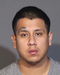 Ermel Palaguachi a registered Sex Offender of New York