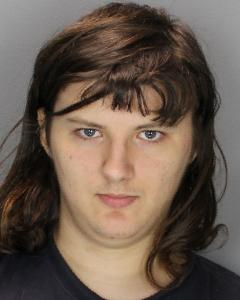 Kyle L Dodge a registered Sex Offender of New York