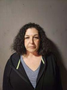 Tina Vivenzio a registered Sex Offender of New York