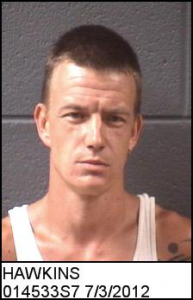 Craig Hawkins a registered  of 