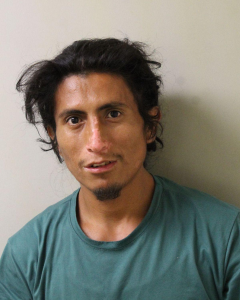 Daniel Shimon a registered  of 