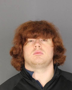 Daniel Bartz a registered Sex Offender of New York