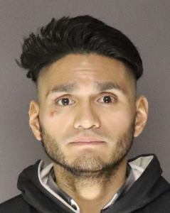 Diego Arines a registered Sex Offender of New York