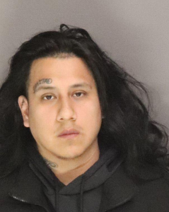 Ermel Palaguachi a registered Sex Offender of New York