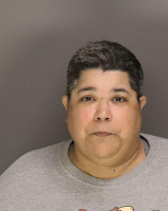 Christine Bravo a registered  of New York