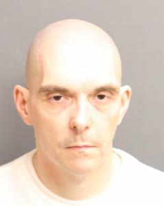 Ashley K Whitaker a registered  of New York