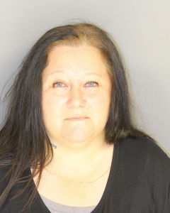 Candace Seelbinder a registered  of New York