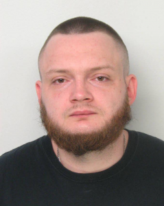 Michael Stevenson a registered  of New York