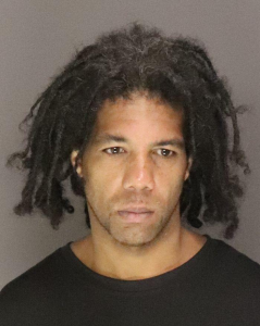 Michael Sebea a registered Sex Offender of New York