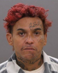 Danny Echevarria a registered  of 