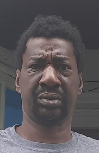 Darryl Mount a registered Sex Offender of New York