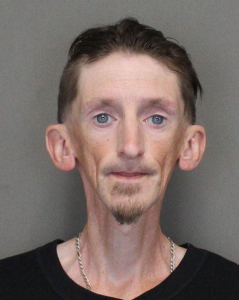 Carl A Goossens a registered Sex Offender of New York