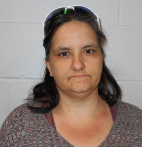 Tammy Ashline a registered Sex Offender of New York