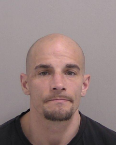 Michael Difalco a registered Sex Offender of New York