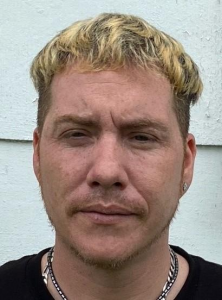 Donald Mcinnes a registered Sex Offender of New York