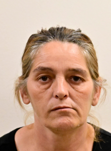 Mary Rowles a registered Sex Offender of New York