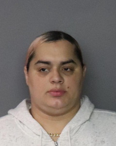 Edgardo Nieves a registered Sex Offender of New York