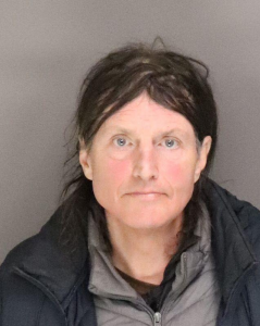 Xena M Grandichelli a registered Sex Offender of New York