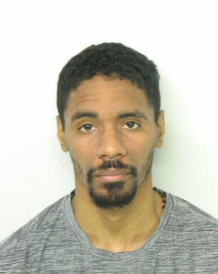 Nestor Dotel a registered Sex Offender of New York
