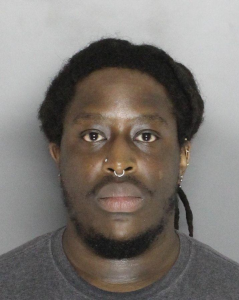 Derrick Starling a registered Sex Offender of New York
