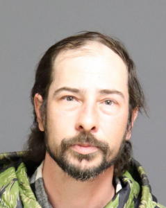 David Seelman a registered Sex Offender of New York