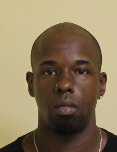 Brian Arias a registered Sex Offender of New York