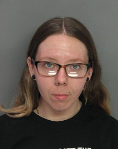 Katilyn Kasmarcik a registered Sex Offender of New York