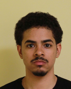 Robert Jones a registered Sex Offender of New York