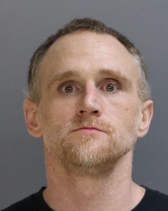 Daniel Elie a registered Sex Offender of New York