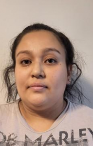 Brianna Cook a registered Sex Offender of New York