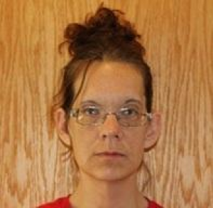 Sharon Anemaet a registered Sex Offender of New York