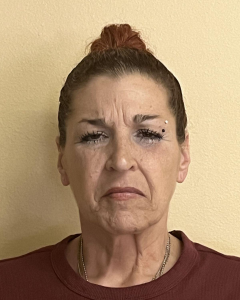 Tina Vivenzio a registered Sex Offender of New York